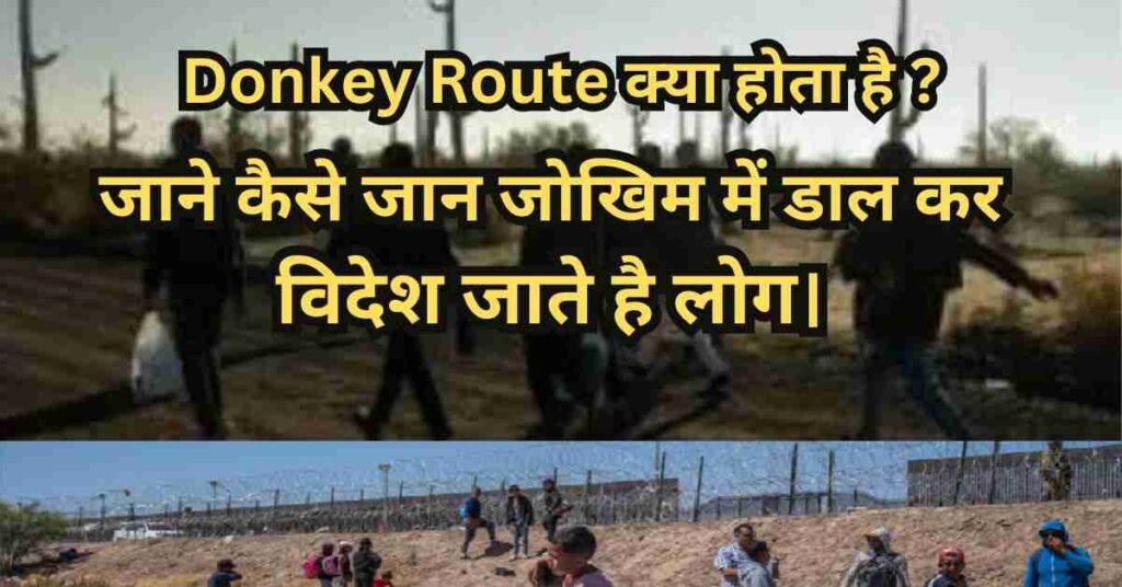 Donkey Route Kya Hota Hai